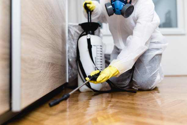 Best Residential Pest Control  in Alanes Ridge, CA