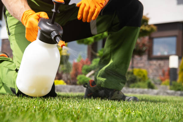 Best Affordable Pest Control Services  in Alanes Ridge, CA