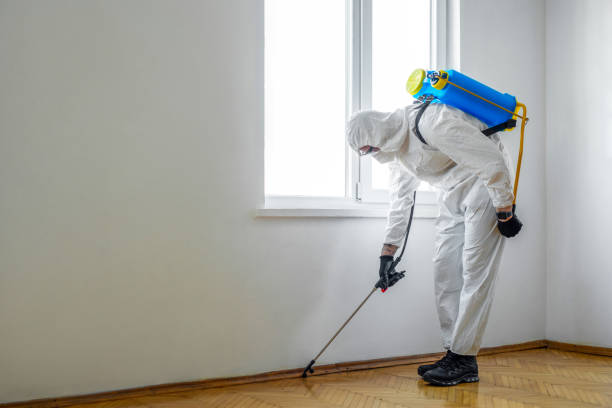  Alanes Ridge, CA Pest Control Pros
