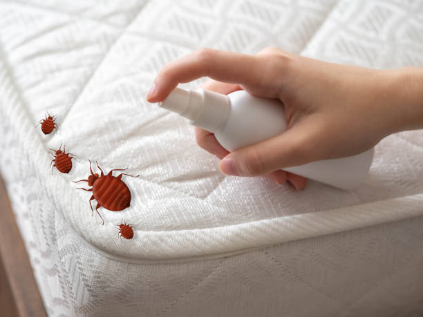 Best Residential Pest Control  in Alanes Ridge, CA