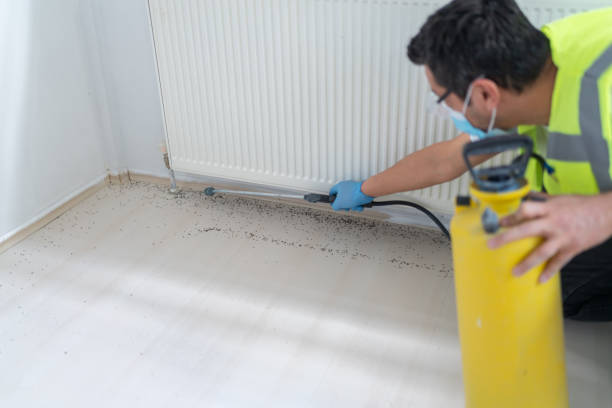 Best Bed Bug Extermination  in Alanes Ridge, CA