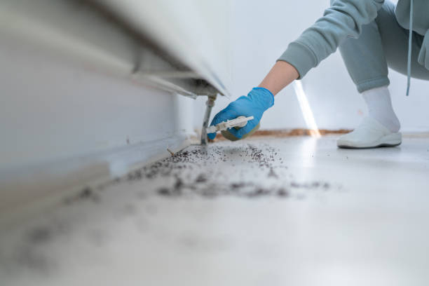 Best Cockroach Control Services  in Alanes Ridge, CA